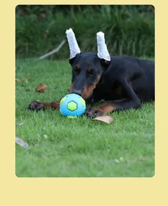 Balle de jouet pour chien texturée bleu clair et vert durable dans un cadre d'herbe naturelle