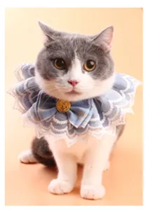 Adorable blue plaid cat collar with white lace trim and bow on a pet model cat