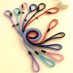 Detailed view of colorful round slip lead leashes for dogs in spiral arrangement