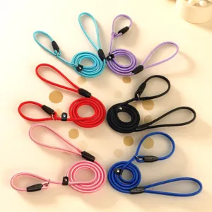 Professional detailed view of colorful integrated round nylon dog slip lead leashes