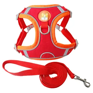 Red suede reflective pet harness set with breathable mesh and matching leash detail