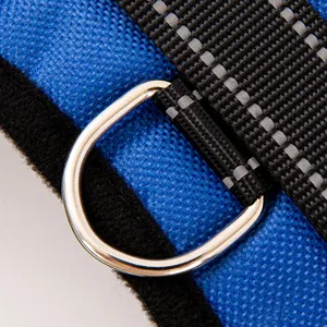 Close-up detail of blue pet harness featuring chrome D-ring and reflective strap