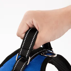 Close-up of durable blue pet harness handle with reflective stitching for dogs