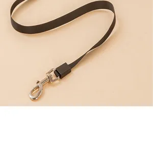Detailed view of the high-quality metal swivel hook and black nylon strap on a dog leash.