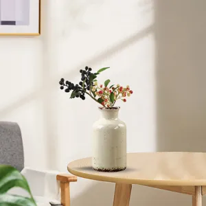 Vaso in ceramica stile rustico con effetto craquelé su tavolo in legno decorativo