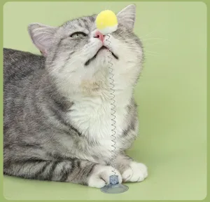 Detailaufnahme einer Tabby-Katze, die mit einem Feder-Plüschball-Katzenspielzeug spielt
