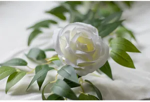 Nahaufnahme der eleganten weißen künstlichen Rose mit grüner Blätterranke für Dekoration.