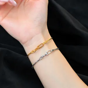 S925 Sterlingsilber Schlangenkette Armband zweifarbig verstellbar Luxus Schmuck Alltag