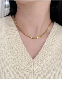 Goldene flache Schlangenkette Halskette Detailansicht, exquisite Spiegelglanz Schmuck.