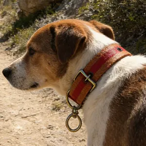 Verstelbare Huisdier Hond Halsband Duurzame Gurtband Leder Nekband Met Metalen D-Ring Casual Stijl Hondenbenodigdheden