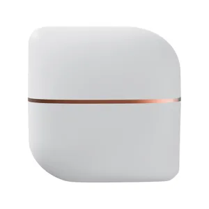 Cordless Mini Hair Straightening Brush Portable Wireless Charging Tourmaline Ceramic Hair Styling Tool Dual Use Straightener