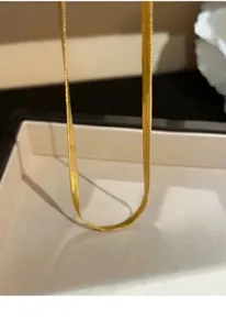 Detaillierte Nahaufnahme einer glänzenden goldenen flachen Schlangenkette in einer Schachtel.
