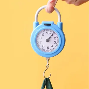 Portable mechanical hanging spring scale with hook and 10kg capacity for home kitchen use.