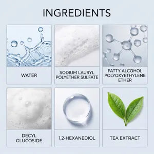 Car air conditioner cleaner ingredient details chart showcasing core formula water and tea extract.