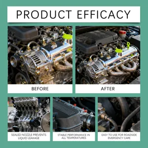 Detail de nettoyant pour moteur de voiture montrant l'efficacite avant et apres le lavage.