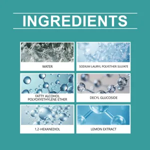 Detailinfografik der Inhaltsstoffe von Auto-Innenraumreiniger-Schaum mit Wasser und Extrakten.