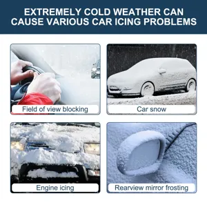 Tragbarer Auto Enteiser und Schneeräumungsinstrument für Winterschutz der Windschutzscheibe.