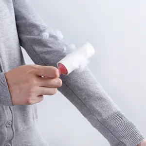 Mini rouleau anti-peluches pour vetements brosse adhesive portable pour poils d'animaux