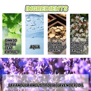 Vue détaillée des ingrédients d'extraits de plantes avec ginkgo, lavande et herbes apaisantes