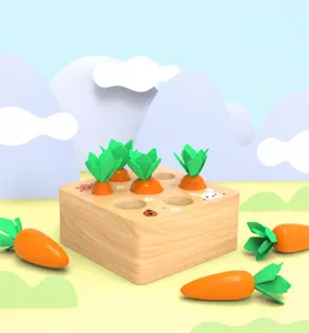 Holz Karotten Ernte Sortierspiel Montessori Lernspielzeug fur Kleinkinder Kindergeschenke.