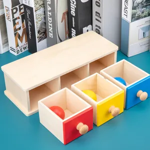 Montessori Wooden Drawer Storage Box Toy Early Education Color Sorting Game For Toddlers