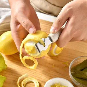 Pelapatate per Limone Multifunzionale in Aciaio Inossidabile Grattugia per Formaggio Zester da Cucina
