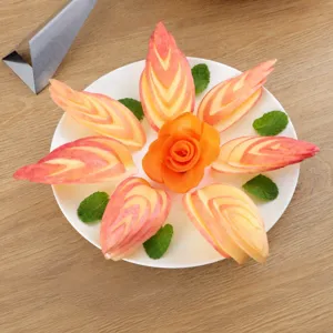 Stainless steel fruit carving knife triangle push knife apple cutting tool detail view.