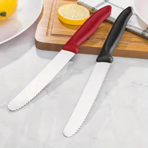 Stainless steel steak knives set with ergonomic plastic handles, serrated kitchen knife.
