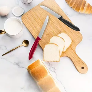 Stainless steel bread knife detail showing sharp serrated blade and ergonomic handle.