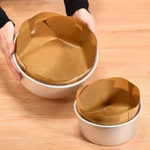 Tapis de cuisson en téflon antiadhésif résistant haute température papier cuisson