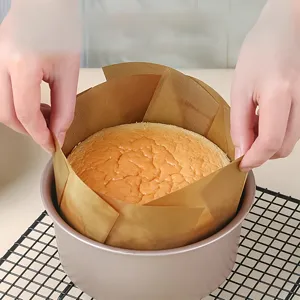 Tapis de Cuisson en Téflon Antiadhésif Réutilisable Revêtement de Four en Fibre de Verre Résistant aux Hautes Températures Plaque de Cuisson