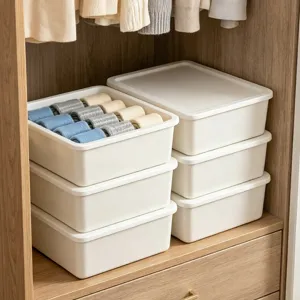 Scatola per biancheria intima in plastica bianca con coperchio per armadio ordinato.