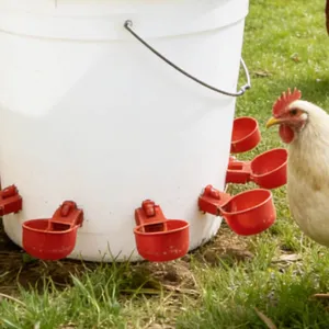 Automatic Poultry Waterer Plastic Chicken Feeder Drinking Bowl Farm Poultry Watering Equipment For Duck Goose