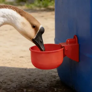 Poultry automatic waterer red plastic drinking bowl for chicken duck goose farm livestock supplies