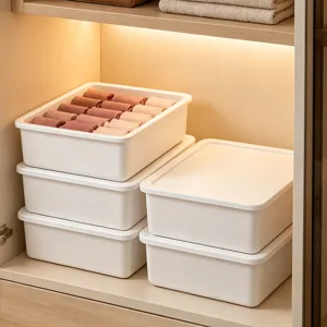 Scatola di immagazzinaggio in plastica bianca per biancheria intima e calzini con coperchio.