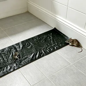 Strong adhesive sticky rat trap mat for home pest control, heavy duty mouse catcher pad.
