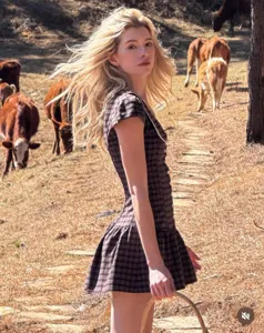 Vue détaillée de la robe vintage à carreaux marron avec manches bouffantes en plein air.