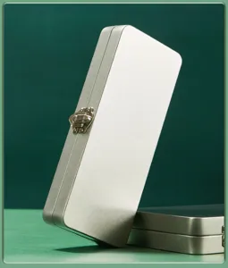 Gedetailleerd overzicht van een draagbare zilveren metalen opbergdoos met metalen sluiting.