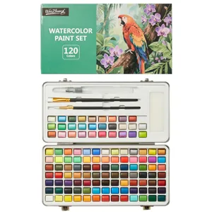 Draagbare 120 kleuren vaste aquarelverfset met metalen opbergdoos en penselen voor kunstenaars.