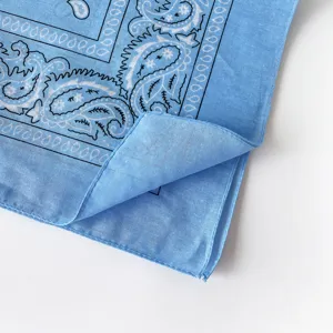 Hellblaues Paisley Bandana Detailbild, klassisch bedrucktes Kopftuch für den Sport.
