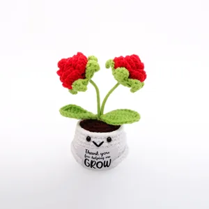 Close-up of handmade crochet red rose potted plant with cute face and inspiring tag detail view.