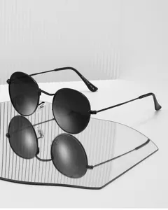 Lunettes de soleil polarisées rondes rétro pour hommes avec monture en métal et verres sombres.
