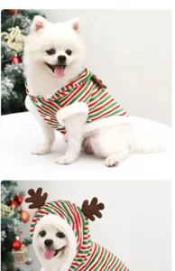 Close-up detail of cute Christmas pet costume with reindeer antlers and stripes.