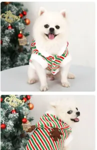 Detailed view of cute pet Christmas costume with red green stripes and lovely reindeer antlers.