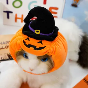 Cute Halloween pet hat with pumpkin and witch design, soft plush cat costume headwear for funny party.