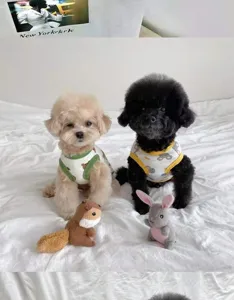 Cute spring pet vest for small dogs like poodles and bichons, comfortable cartoon print apparel.