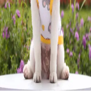 Cute cartoon bear print pet vest for dogs and cats, spring summer breathable clothing detail.