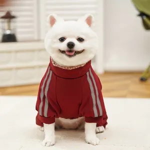 Simpatico cane piccolo che indossa una felpa rossa calda a quattro zampe per animali domestici.