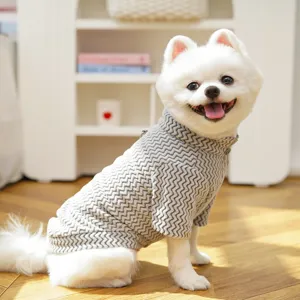 Cute dog wearing a grey half-zip pet sweater, comfortable autumn and winter dog apparel.