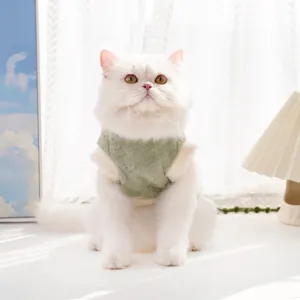 Gros plan détaillé d'un chat portant un gilet en peluche verte, vêtement d'hiver pour animal.